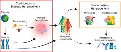 Recent advances in hidradenitis suppurativa: Role of race, genetics, and immunology